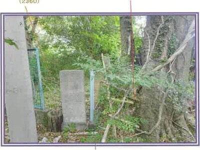 (値下げ) 山梨県南巨摩郡身延町 波高島駅 土地 338万円の競売物件情報 #26