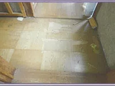 山梨県甲府市 南甲府駅5分 戸建て 310万円の競売物件情報 #39