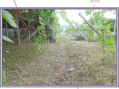 山梨県甲府市 南甲府駅27分 戸建て 141万円の競売物件情報 #17