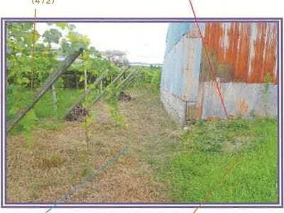 山梨県甲府市 南甲府駅27分 戸建て 141万円の競売物件情報 #18