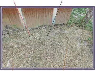 山梨県甲府市 南甲府駅27分 戸建て 141万円の競売物件情報 #21