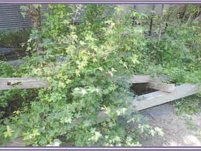 山梨県甲州市 塩山駅 戸建て 631万円の競売物件情報 #26