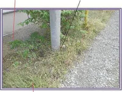 山梨県富士吉田市 富士山駅9分 戸建て 252万円の競売物件情報 #19