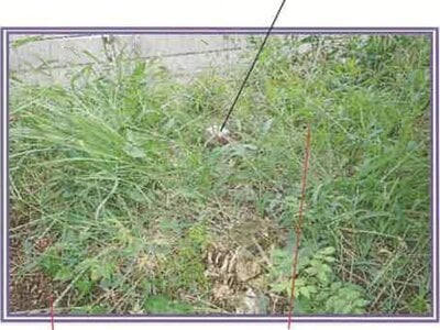 山梨県富士吉田市 富士山駅9分 戸建て 252万円の競売物件情報 #20