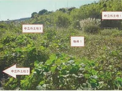 山梨県南アルプス市 小井川駅 農地 22万円の競売物件情報 #3