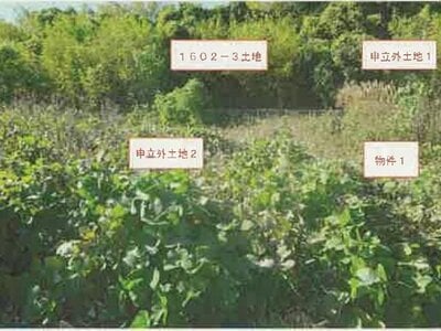 山梨県南アルプス市 小井川駅 農地 22万円の競売物件情報 #4