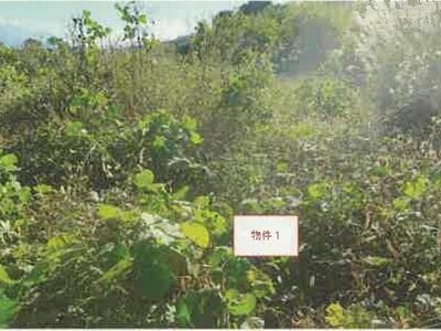 山梨県南アルプス市 小井川駅 農地 22万円の競売物件情報 #5