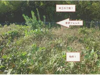 山梨県南アルプス市 小井川駅 農地 22万円の競売物件情報 #6