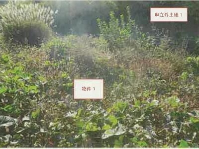 山梨県南アルプス市 小井川駅 農地 22万円の競売物件情報 #8