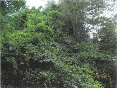 (値下げ) 長野県飯田市 駄科駅12分 戸建て 138万円の競売物件情報 #9