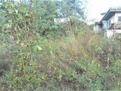 長野県小諸市 東小諸駅17分 土地 950万円の競売物件情報 #10