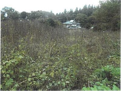 長野県小諸市 小諸駅 農地 51万円の競売物件情報 #2