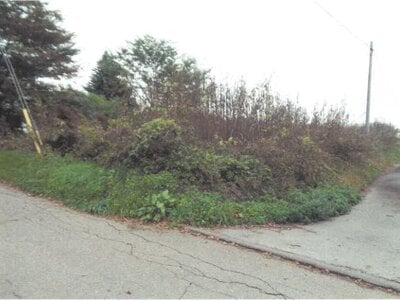 長野県小諸市 小諸駅 農地 51万円の競売物件情報 #4