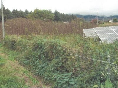 長野県小諸市 小諸駅 農地 51万円の競売物件情報 #5