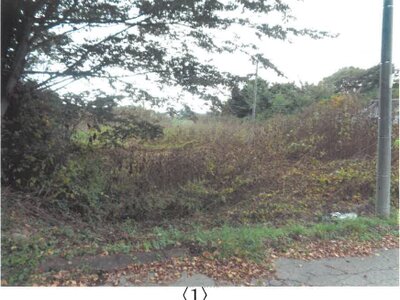 長野県小諸市 小諸駅 農地 51万円の競売物件情報 #6