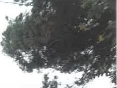 長野県小諸市 小諸駅 戸建て 213万円の競売物件情報 #20