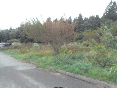 長野県小諸市 小諸駅 戸建て 213万円の競売物件情報 #21