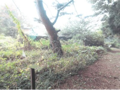 長野県小諸市 小諸駅 戸建て 213万円の競売物件情報 #23