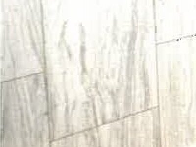 岐阜県岐阜市 柳津駅22分 戸建て 1,309万円の競売物件情報 #16