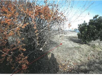 岐阜県本巣市 糸貫駅19分 戸建て 975万円の競売物件情報 #13