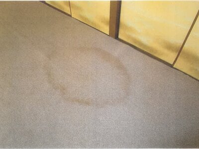 京都府京都市左京区 岩倉駅3分 戸建て 2億4,608万円の競売物件情報 #18