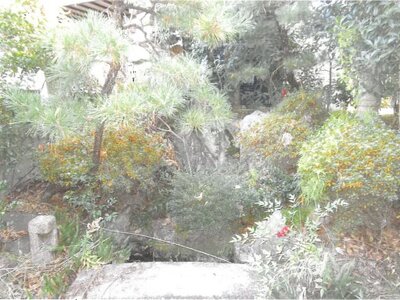 京都府京都市伏見区 石田駅10分 戸建て 1,424万円の競売物件情報 #14