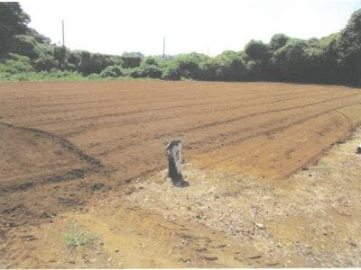 茨城県結城郡八千代町 下妻駅 戸建て 922万円の競売物件情報 #2