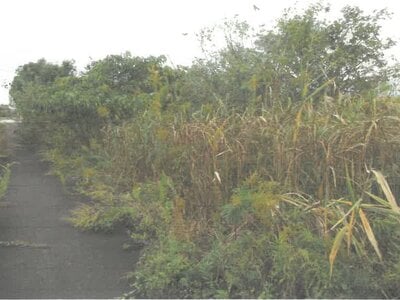 (値下げ) 富山県滑川市 西滑川駅4分 土地 135万円の競売物件情報 #4