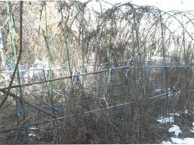 長野県長野市 善光寺下駅14分 戸建て 637万円の競売物件情報 #17