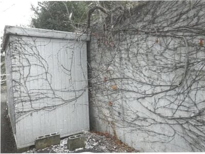 長野県長野市 善光寺下駅14分 戸建て 637万円の競売物件情報 #7