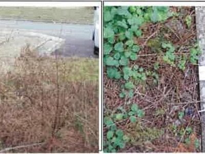 長野県安曇野市 柏矢町駅 戸建て 313万円の競売物件情報 #8