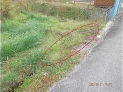 長野県大町市 南大町駅18分 農地 175万円の競売物件情報 #13