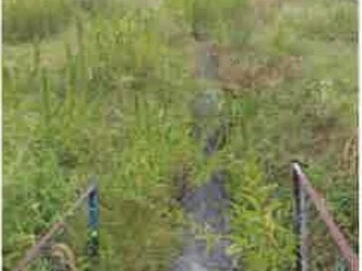 長野県大町市 南大町駅18分 農地 175万円の競売物件情報 #14