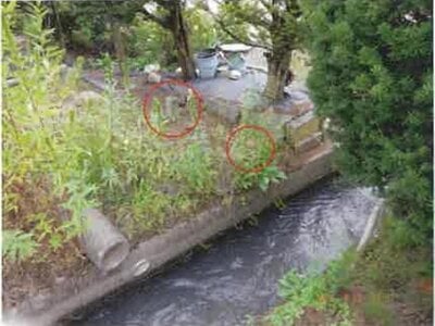 長野県大町市 南大町駅18分 農地 175万円の競売物件情報 #15