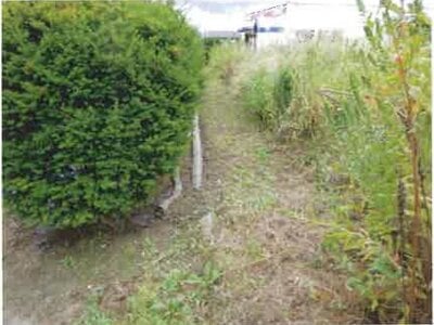 長野県大町市 南大町駅18分 農地 175万円の競売物件情報 #17