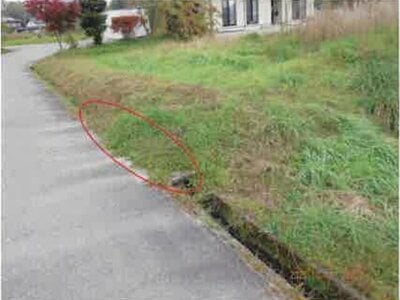 長野県大町市 南大町駅18分 農地 175万円の競売物件情報 #4