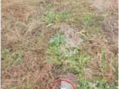 長野県大町市 南大町駅18分 農地 175万円の競売物件情報 #7