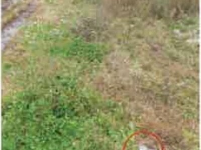 長野県大町市 南大町駅18分 農地 175万円の競売物件情報 #8