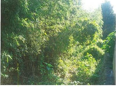 静岡県賀茂郡東伊豆町 伊豆稲取駅7分 戸建て 241万円の競売物件情報 #8