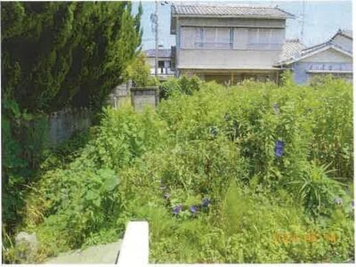 静岡県浜松市中央区 舞阪駅30分 農地 68万円の競売物件情報 #5