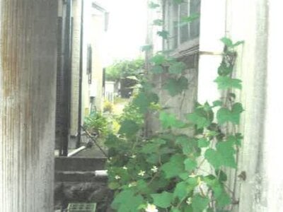 静岡県富士市 入山瀬駅16分 戸建て 945万円の競売物件情報 #9