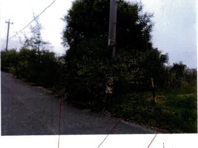 愛知県豊川市 牛久保駅6分 農地 43万円の競売物件情報 #2