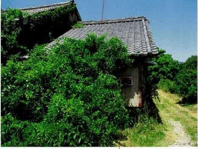 愛知県田原市 戸建て 173万円の競売物件情報 #10