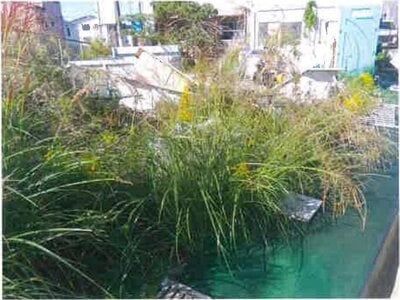 大阪府泉南郡熊取町 水間観音駅28分 土地 308万円の競売物件情報 #4