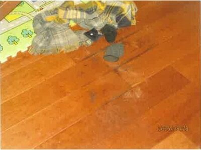 大阪府岸和田市 下松駅24分 戸建て 503万円の競売物件情報 #8