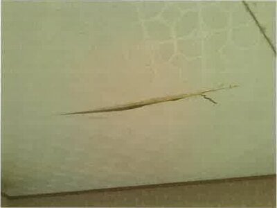 大阪府阪南市 箱作駅19分 戸建て 308万円の競売物件情報 #3