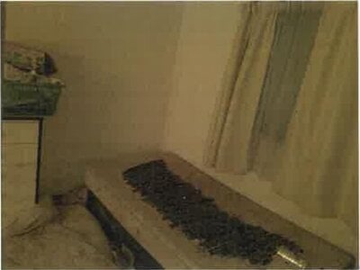 大阪府和泉市 信太山駅10分 戸建て 456万円の競売物件情報 #8