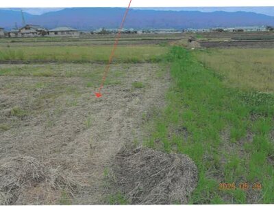 奈良県御所市 忍海駅24分 農地 102万円の競売物件情報 #2