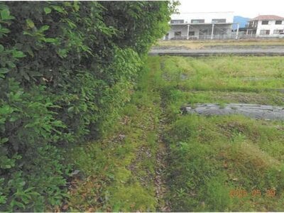 奈良県御所市 忍海駅23分 農地 33万円の競売物件情報 #3