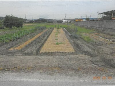奈良県御所市 玉手駅23分 農地 153万円の競売物件情報 #6